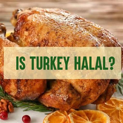 Is Turkey Halal? The ANSWER You Need To Know