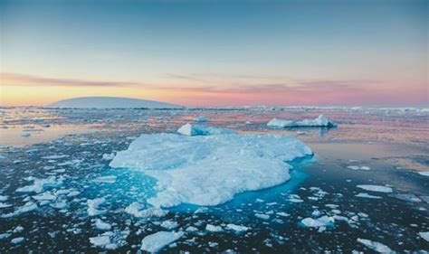 Antarctica breakthrough as researchers stunned by 'oasis of life' found ...