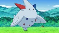 Dawn's Togekiss - Azurilland Wiki