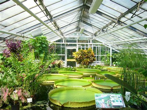 Greenhouse | Definition, Types, & Uses | Britannica