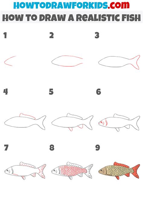 How to Draw a Realistic Fish - Easy Drawing Tutorial For Kids