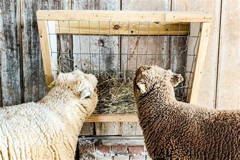 24 DIY Goat Hay Feeder Plans To Avoid Grass Wastage - Craftsy