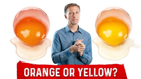 In this video, I talk about which egg yolk color is better. | Natural sleep remedies, Dr eric ...