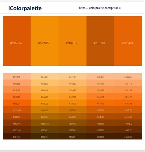 1 Latest Color Schemes with Bamboo And Tangerine Color tone combinations | 2024 | iColorpalette