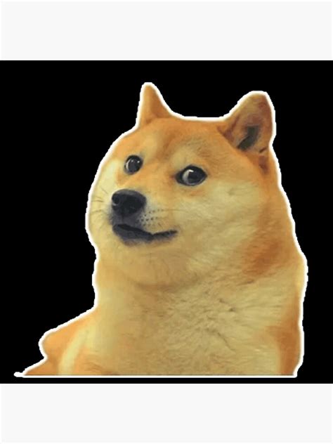 "Meme Shiba Inu" Poster for Sale by Juanscorner | Redbubble