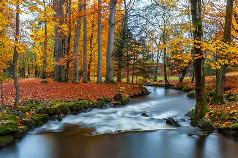 Autumn Colors in Norway [OC] [2300x1533] : EarthPorn