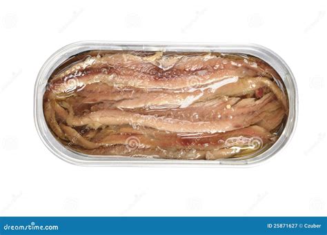 Canned Anchovies Royalty Free Stock Photography - Image: 25871627