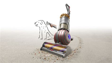 Dyson Ball Animal 3 Complete vacuum