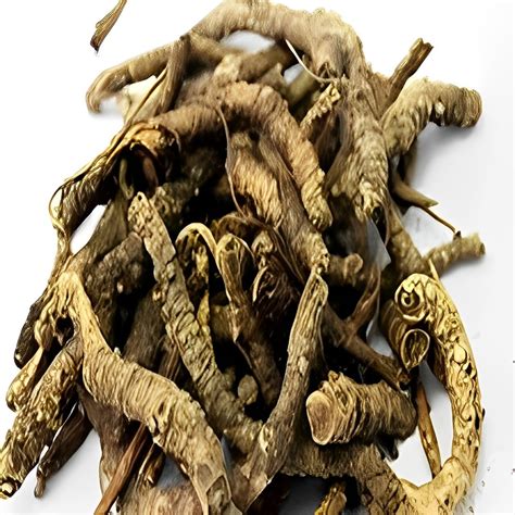 Picrorhiza Kurroa Kutki Extract at Rs 1200/kg | Kutki Extract in Vadodara | ID: 2851781976012