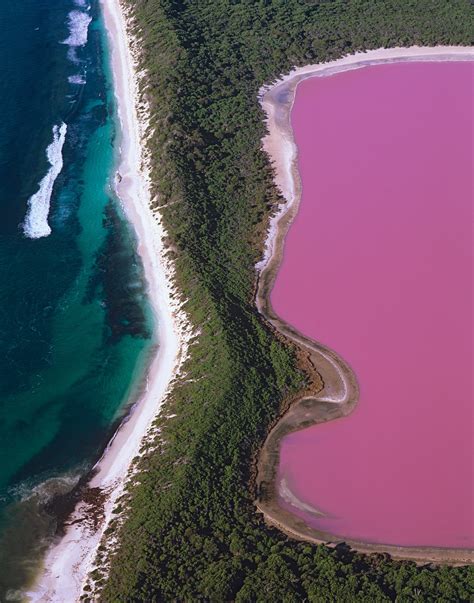 The pink lakes of Australia – in pictures | Lake hillier, Beautiful places, Pink lake