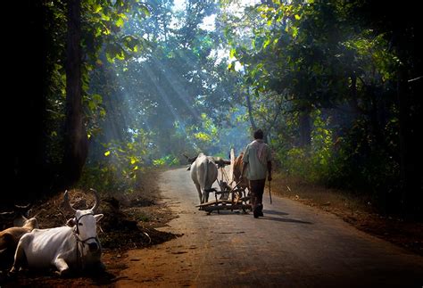 Photography, Travel photography, Rural India