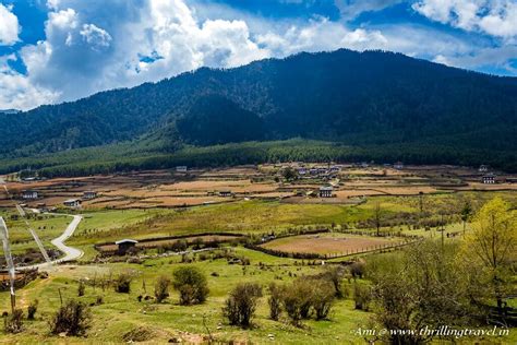 Phobjikha Valley: Silence of the Black Mountains of Bhutan - Thrilling ...