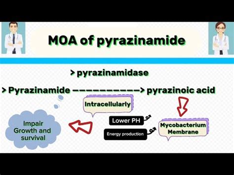 Mechanism of Action of Pyrazinamide | MOA of pyrazinamide - YouTube