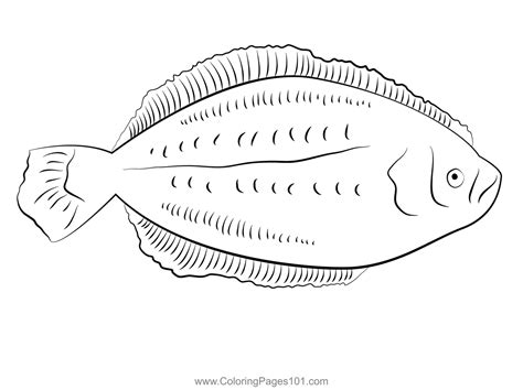 Flounder 7 Coloring Page for Kids - Free Flounders Printable Coloring Pages Online for Kids ...