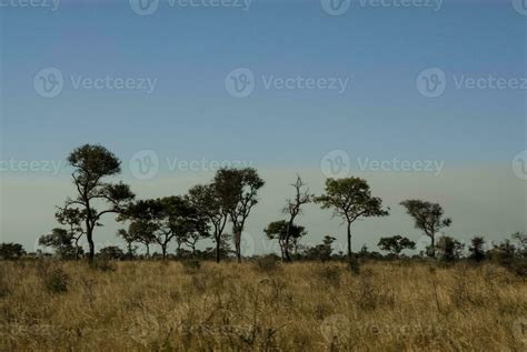 African savannah landscape 26213024 Stock Photo at Vecteezy