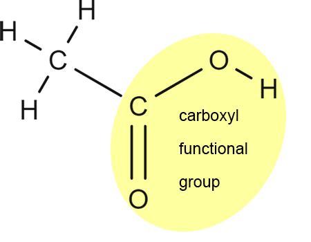 Carboxyl Functional Group