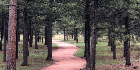 Black Forest Regional Park – Colorado Springs, CO