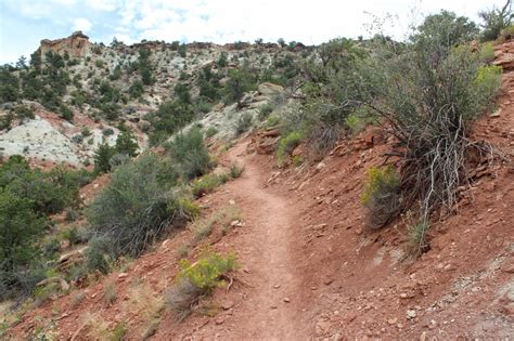 gjhikes.com: Petrified Forest/Sleeping Rainbow