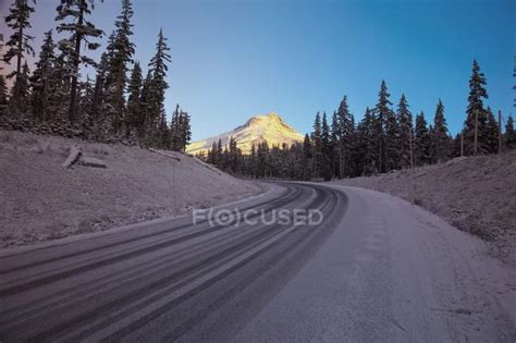 Highway 26, Mount Hood, Oregon — trees, landscape - Stock Photo ...