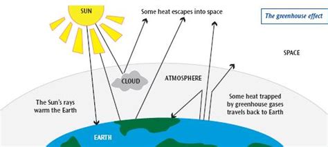 What is climate change and how will it affect the UK? | Bradford Council