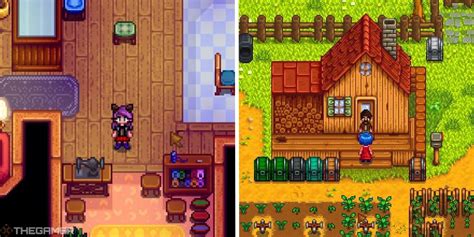 How To Make And Dye Clothes In Stardew Valley