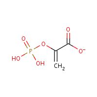 Phosphoenolpyruvate - Hazardous Agents | Haz-Map