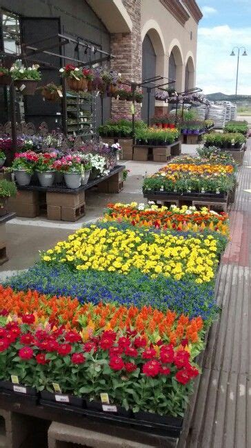 Lowes Garden Center Flowers ~ Best Wallpaper Luann