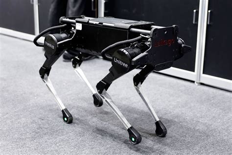 How Google is Teaching a Robot Dog to Imitate a Real Dog - Engineering ...