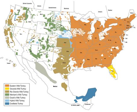 Wild Turkeys’ Ranges