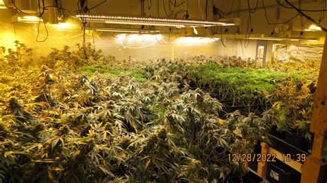 Two arrested for marijuana production in South Salem, Aumsville