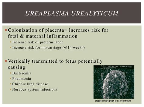 Ureaplasma treatment antibiotics