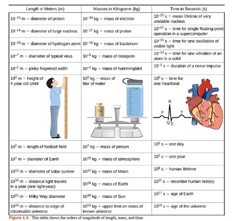 Solved: Use the orders of magnitude you found in the previous prob ...