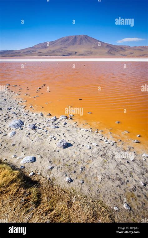 Laguna Colorada (Red Lagoon) in Eduardo Avaroa Andean Fauna National ...