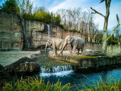 A Traveller's Complete Guide To The Famous Zoos In Pittsburgh