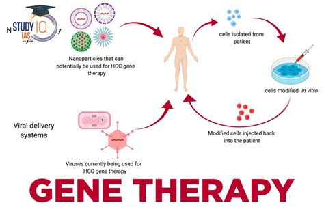 Gene Therapy Market Projected to Show Strong Growth : Bluebird bio, Genethon, Transgene