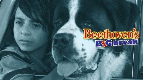 1st Sep: Beethoven's Big Break (2008), 1hr 40m [U] - Streaming Again (5 ...