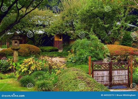 Imperial Palace Gardens, Tokyo Editorial Stock Photo - Image of lawn, shrub: 44552273