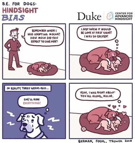 Hindsight bias in behavioral economics - Research of Common cents lab