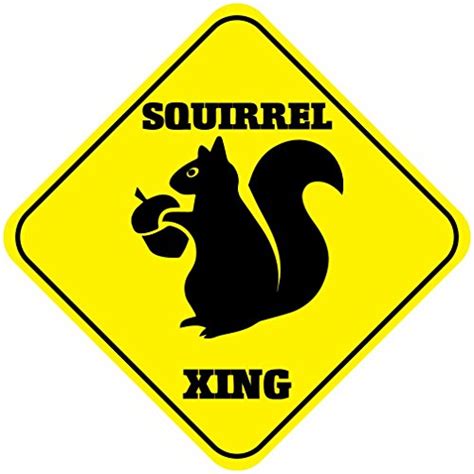 Squirrel Crossing Signs | Kritters in the Mailbox | Squirrel Crossing Sign