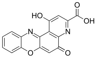 Pirenoxine - wikidoc