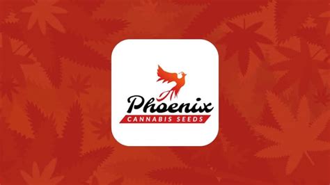 Phoenix Seeds seed bank | Seed Supreme