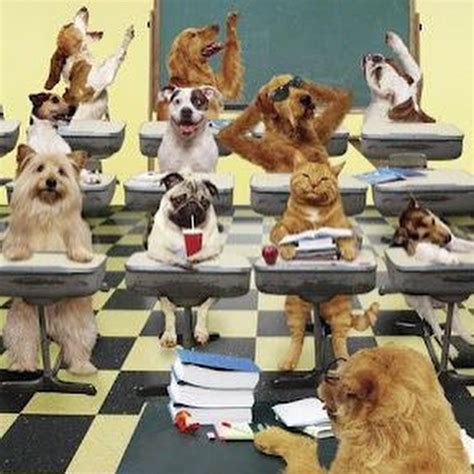 TEACHER'S PET - Thrive Global