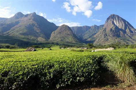 Mount Mulanje – hikingmountmulanje