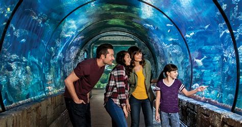 Shark Reef Aquarium tickets in Las Vegas | musement