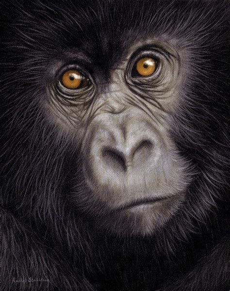 Young Gorilla Painting Painting by Rachel Stribbling - Fine Art America