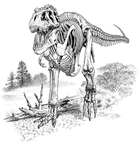 T Rex Skeleton Drawing at PaintingValley.com | Explore collection of T Rex Skeleton Drawing