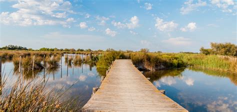 Best places to stay in Saintes Maries de la Mer, France | The Hotel Guru