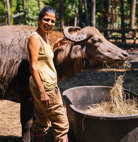 Backyard Buffalo Farm - Edible Communities