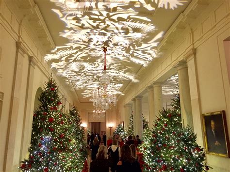 Christmas Tree Lighting White House 2018 | Ruivadelow