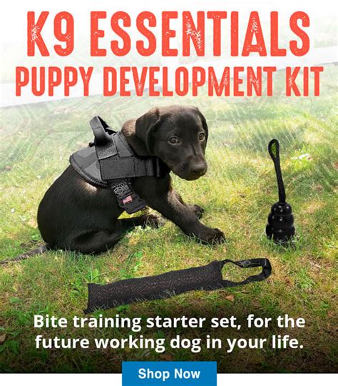 The K9 Essentials Puppy Development Kit Is Back! - Ray Allen